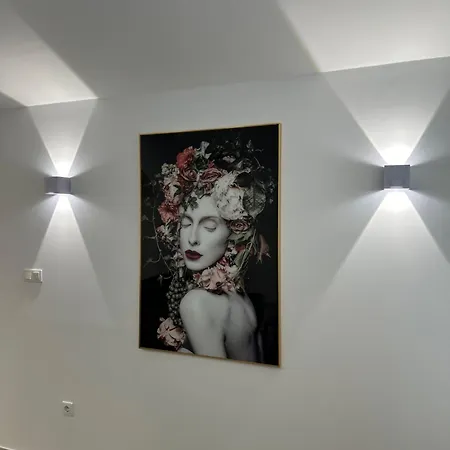 Apartment Zola